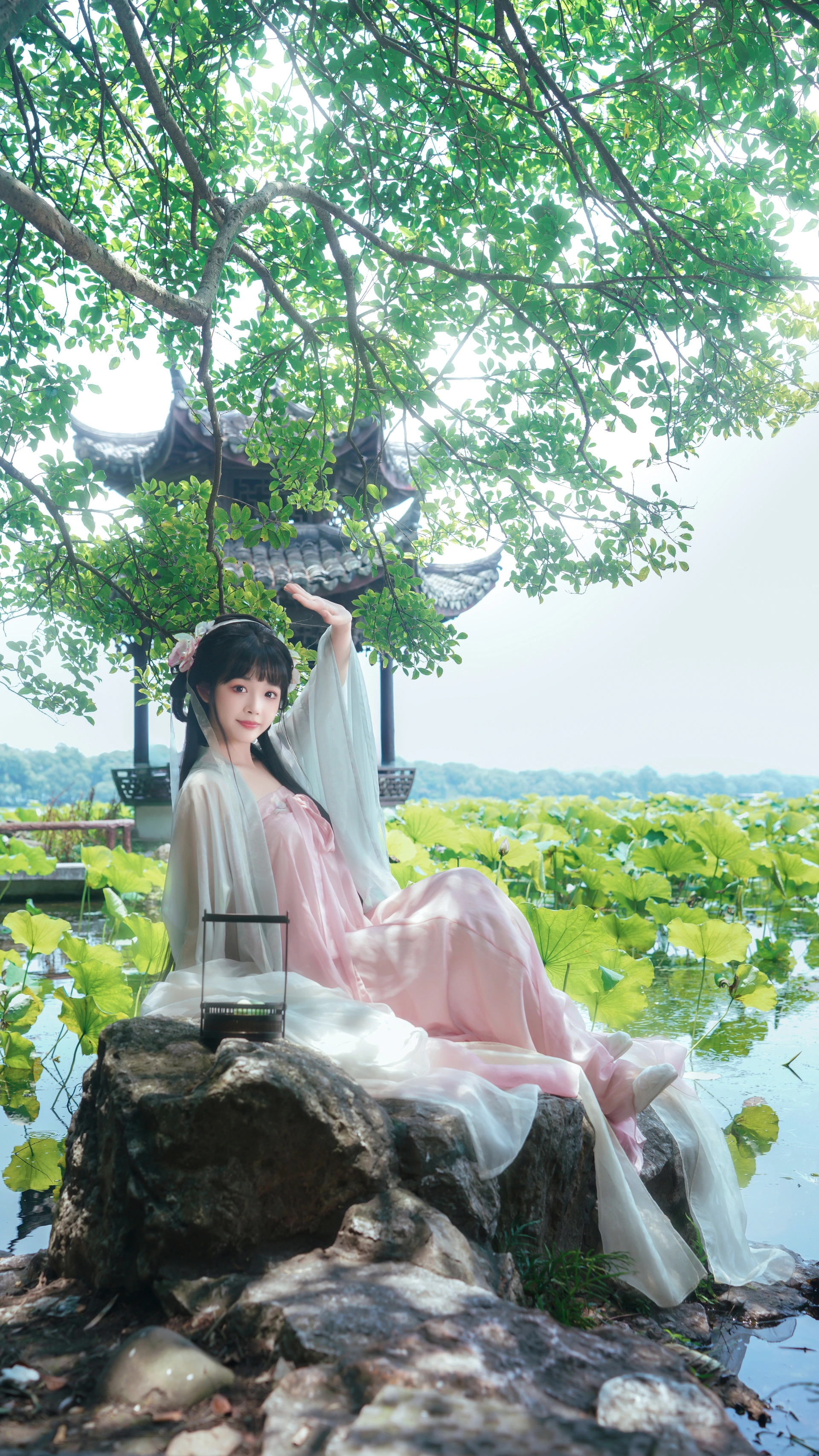 [YITUYU艺图语]2024.10.12 荷花园 予君 1